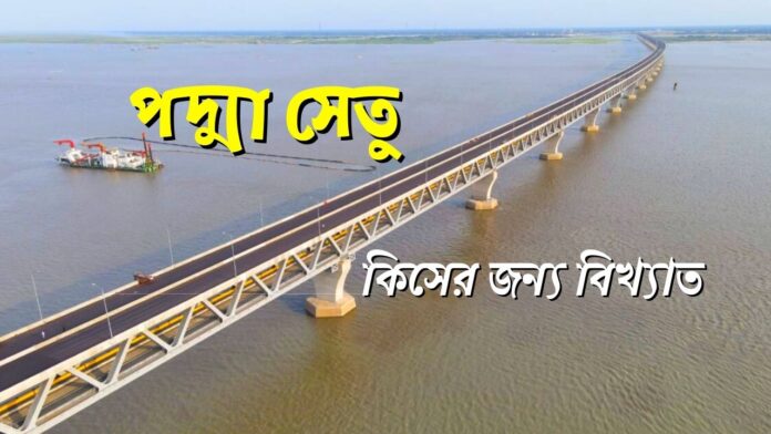 পদ্মা সেতু কিসের জন্য বিখ্যাত । পদ্মা বহুমুখী সেতু