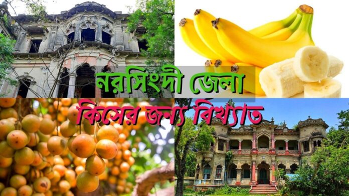 নরসিংদী জেলা কিসের জন্য বিখ্যাত